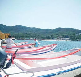 2017大連旅順釣魚節今日盛大啟幕，央視明星助陣引領大連游艇熱潮